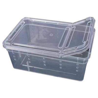 彩色蚕宝宝小学生养蚕套装蚕卵饲养盒全套工具12345龄金丝嫩桑叶