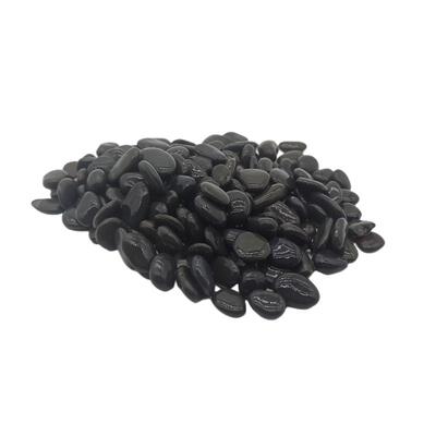 天然铁胆沙砂黑工沙多肉铺面园艺