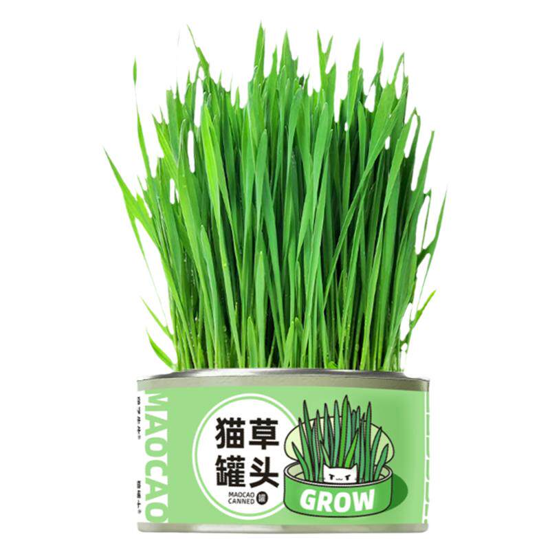团子先生猫草罐头懒人种植零食小麦种子盆栽猫薄荷猫咪用品