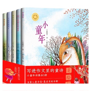写进作文里的童诗全套5册小童年诗集美绘版当代华文儿童诗丛书名家正版非拼音版有一种颜色叫做梦雪花里的风车田野的诗行回望麦田