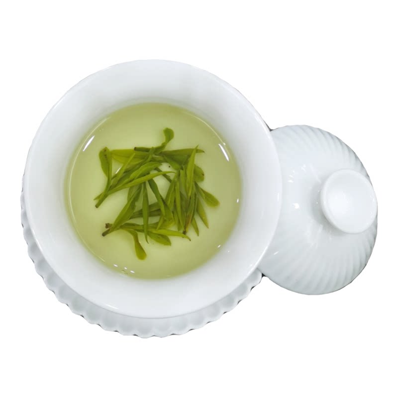 2026新茶高山黄芽早期春茶