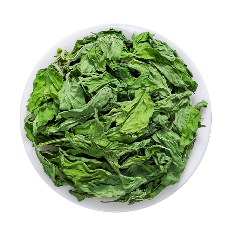 薄荷叶新鲜薄荷叶干商用食品级