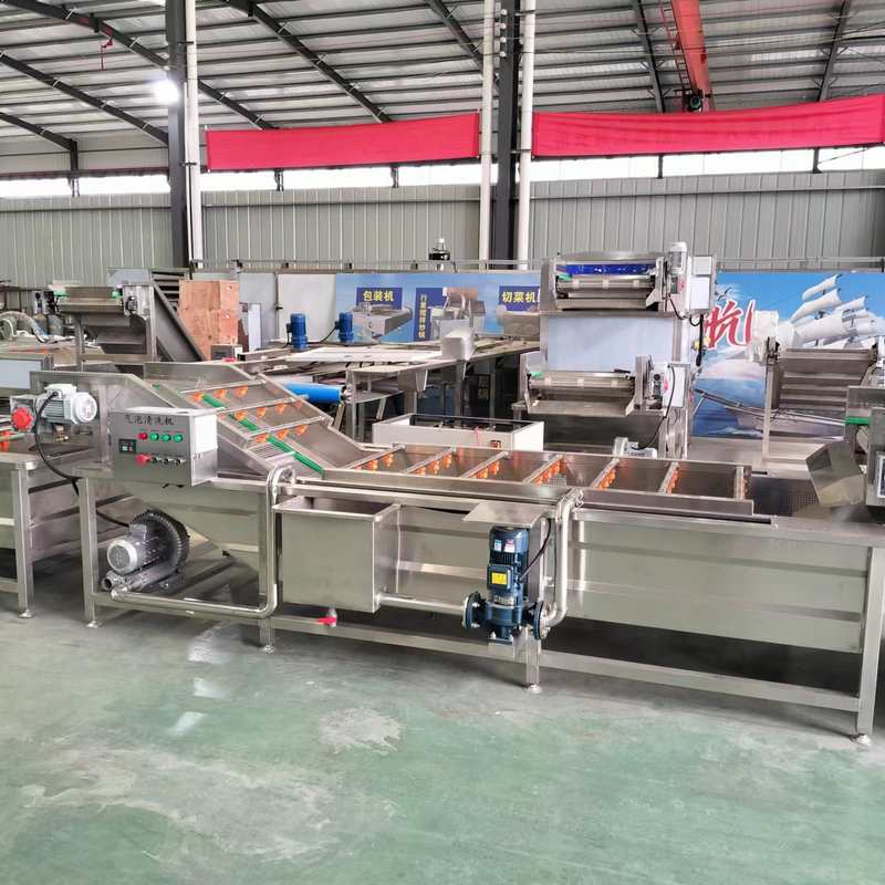 厂家定制气泡清洗机中药材生姜去泥清洗机喷淋式净菜加工流水线