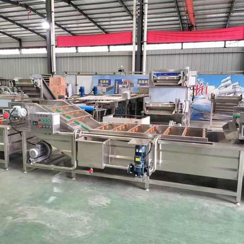 厂家定制气泡清洗机中药材生姜去泥清洗机喷淋式净菜加工流水线