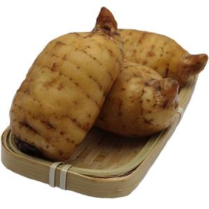 新鲜天麻1000g2斤昭通小草坝乌天麻云南仿野生500g1斤非干货特级