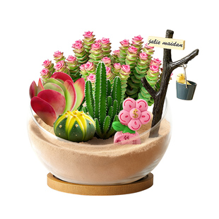 多肉植物创意组合微景观diy儿童幼儿园手工绿植盆栽办公桌面解压