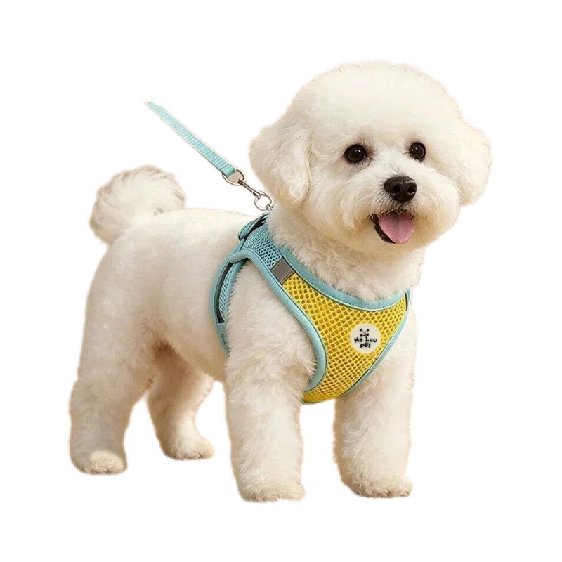 夏日透气胸背牵引绳小型犬比熊犬泰迪博美小狗宠物背带外出牵引绳