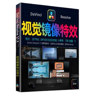 达芬奇17特效预设Surreal Mirror虚幻叠加3D镜像镜头复制视觉效果