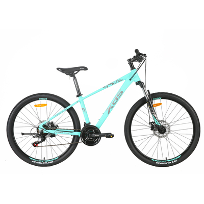 XDS喜德盛青少年变速自行车