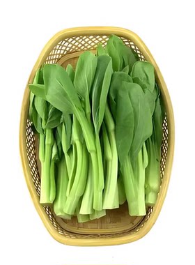 多枝多芽菜心多子多福甜菜心春夏秋蔬菜种子籽种子广东菜芯菜苔籽