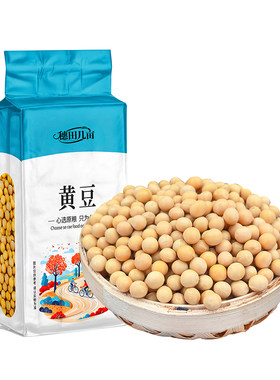 东北黄豆打豆浆专用大豆农家自种非转基因发豆芽豆粒新货1斤批发