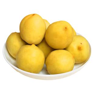 广西酸野腌制水果泡酸李子芒果沙梨萝卜豆角开胃酸料南宁横县特产