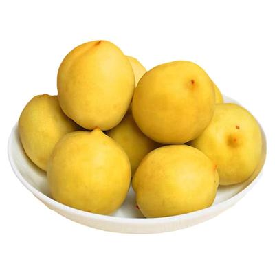 广西横县酸野腌制水果开胃酸料