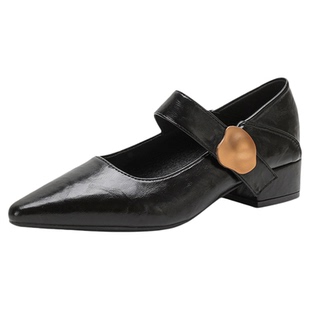 尖头单鞋女款配裙子的鞋子法式玛丽珍鞋女2026春夏新款粗跟高跟鞋