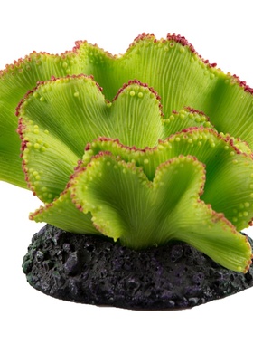 洛鲁仿真树脂玻璃装饰软体珊瑚