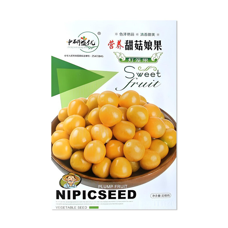 中研盛优营养甜菇娘果种子