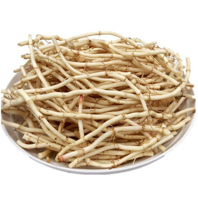 挖野菜鲜嫩鱼腥草根折耳根种包邮