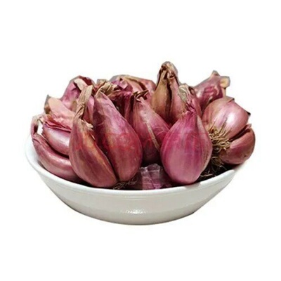 香葱种头红葱头种盆栽阳台室内外种植多季蔬菜种籽孑小葱火葱种子