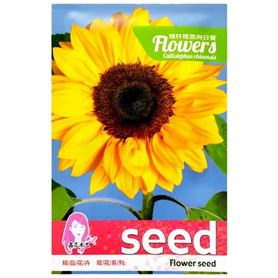 四季易种花卉种子生长快