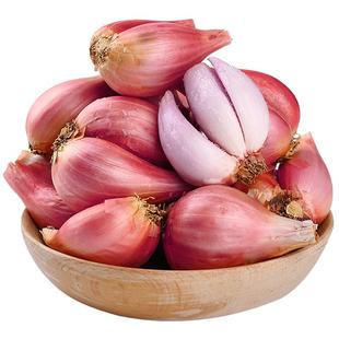 新鲜红葱头干葱头广东小香葱头种子火葱四季红头葱卤肉油葱酥包邮