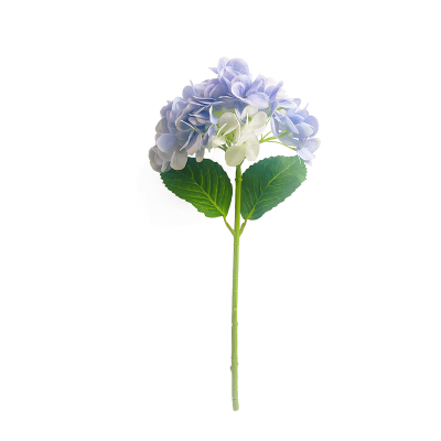 那就在一起，晨昏与四季