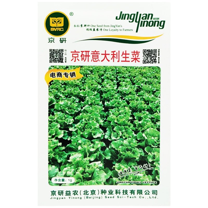 意大利生菜种籽生菜种籽种孑罗马生菜种孑种子四季玻璃生菜菜种籽