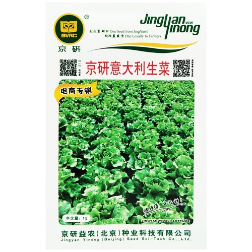 意大利生菜种籽生菜种籽种孑罗马生菜种孑种子四季玻璃生菜菜种籽