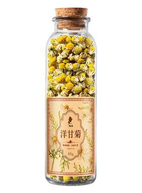 德国正宗新花罗马葛森洋甘菊