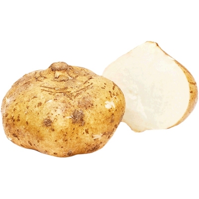 牧马山地瓜种子水果凉薯沙葛土瓜