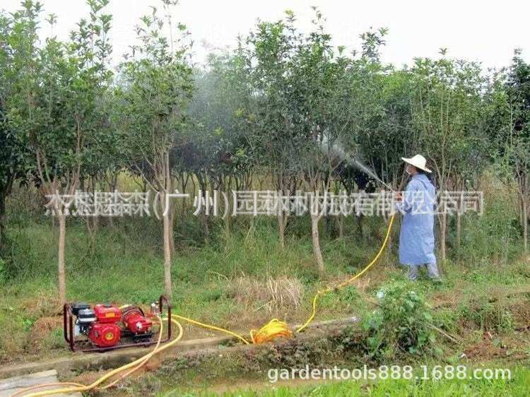 富士特喷雾器打药机FST-21K担架式柱塞泵园林农用汽油打药 喷雾机