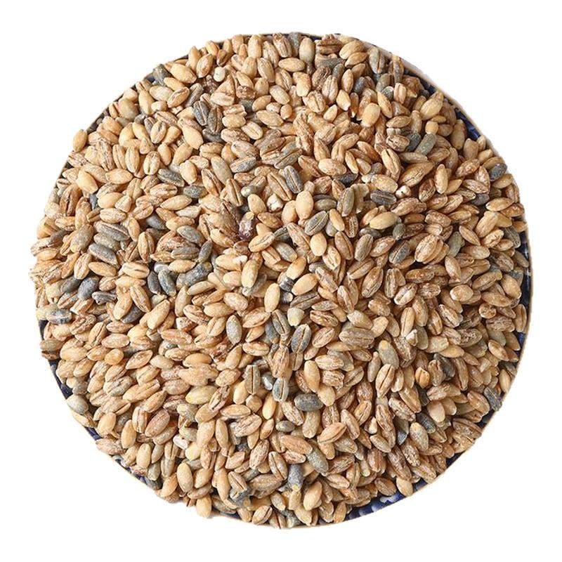 青海西藏高原特产白蓝青稞米2025年新米缓升糖尿人孕妇代餐粗杂粮