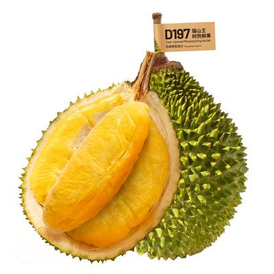 市舶士D197猫山王榴莲鲜果