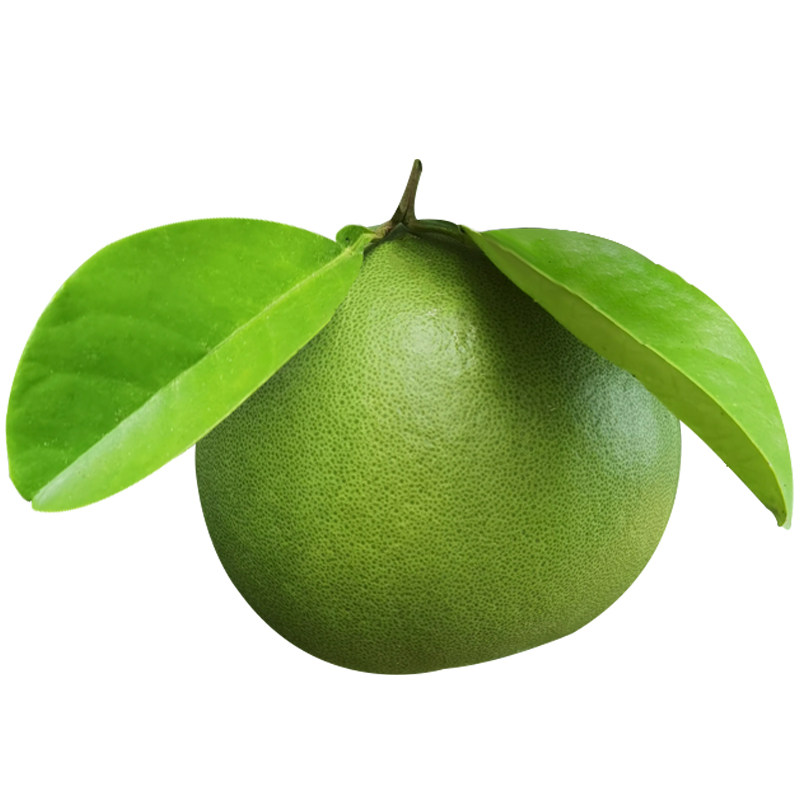 新鲜小柚子新房新车新柜去味除臭