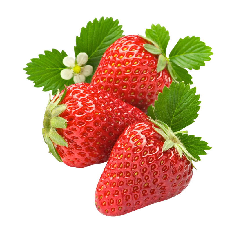 红草莓苗奶油草莓苗四季结果种植苗带土白食用苗种秧种苗随珠