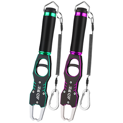 多功能带称控鱼器路亚钳一体装备