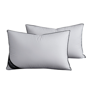 本初防螨虫枕头成人家用护颈椎助睡眠枕头芯酒店单人学生宿舍枕芯