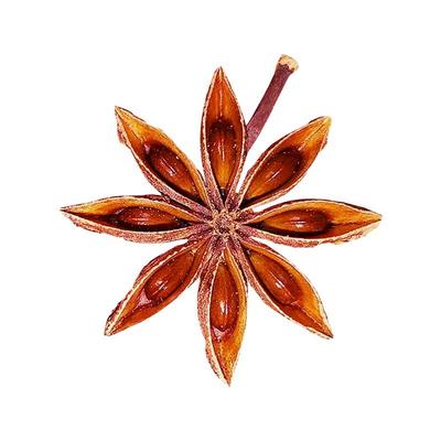 广西古龙无硫八角炖肉火锅香料