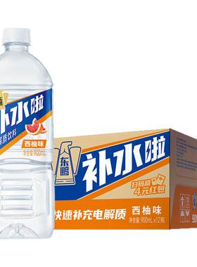 东鹏补水啦1000ml*12瓶整箱装