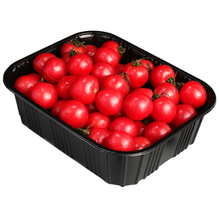 一次性水果包装盒子无盖透明餐盒草莓西瓜果切专用打包盒商用批发