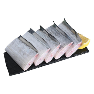 海鼎纪 舟山带鱼段超大四指宽新鲜冷冻刀鱼中段大号雷达网带鱼