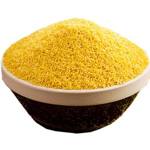 尚蔚今年新蔚县新黄小米新米小米粥小黄米食用特产五谷杂粮食5斤