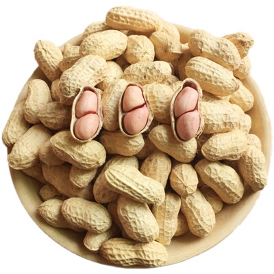 24年带壳生花生原味新鲜自然晒干白沙花生农家粉皮小粒薄壳小花生