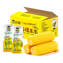 啃糯东北当季新鲜糯玉米8支