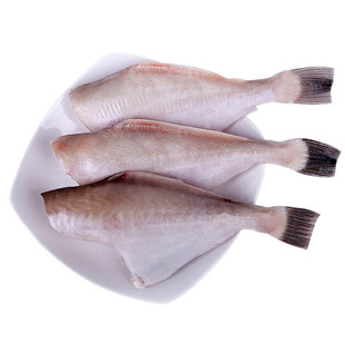 火锅食材冷冻中号耗儿鱼海鲜新鲜剥皮鱼马面鱼扒皮鱼大号商用批发