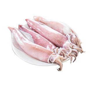 带籽海兔子母鱿鱼鲜活墨鱼仔海鲜水产冷冻一份400g装满籽笔管鱿鱼