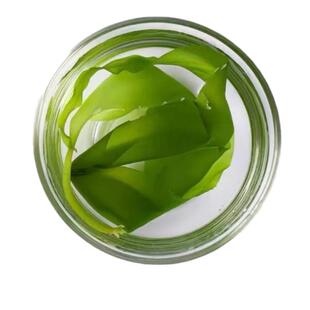 霞浦新鲜海带苗嫩苗凉拌菜火锅食材无添加商用批发盐渍裙带菜干货