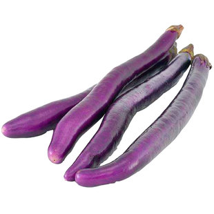 杭茄子种子种籽菜苗线茄蔬菜孑四季苗秧秧苗长茄茄苗老品种带土