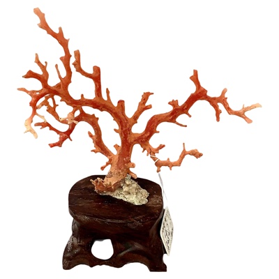 ENIMOL天然有机宝石红珊瑚树摆件
