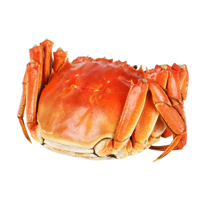 大闸蟹鲜活产地直发10装礼盒