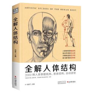 经典全集 全解人体结构艺术用解剖学工具书籍素描美术绘画入门教程理解骨骼肌肉运动造型形体手绘技法笔记图集教材 杨建飞